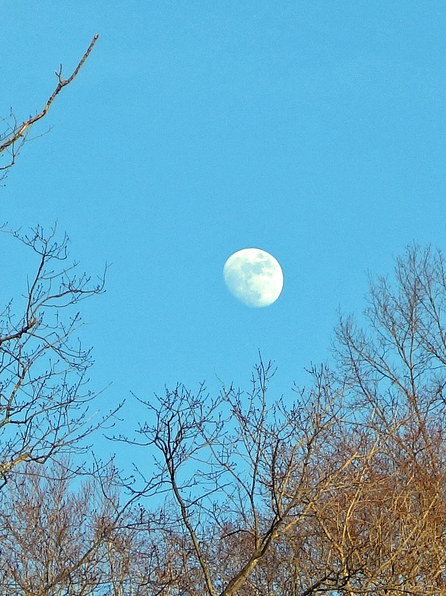 Moon1.2